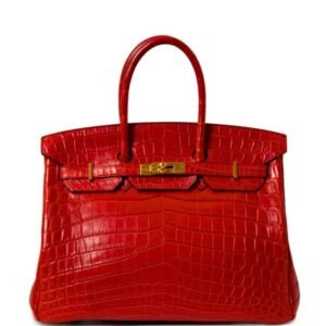 2013 Birkin 35 tote bag